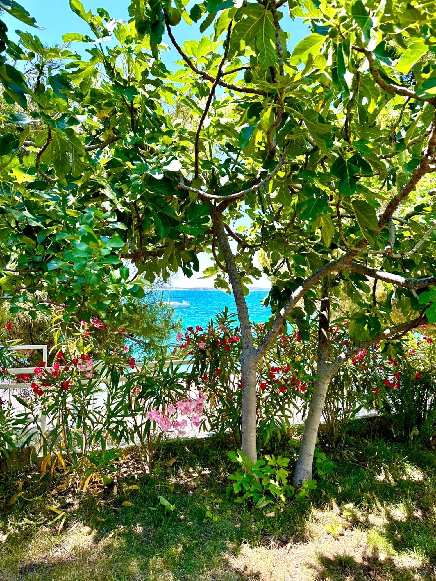 Perla&Palma Villa Zaboric Luaran gambar